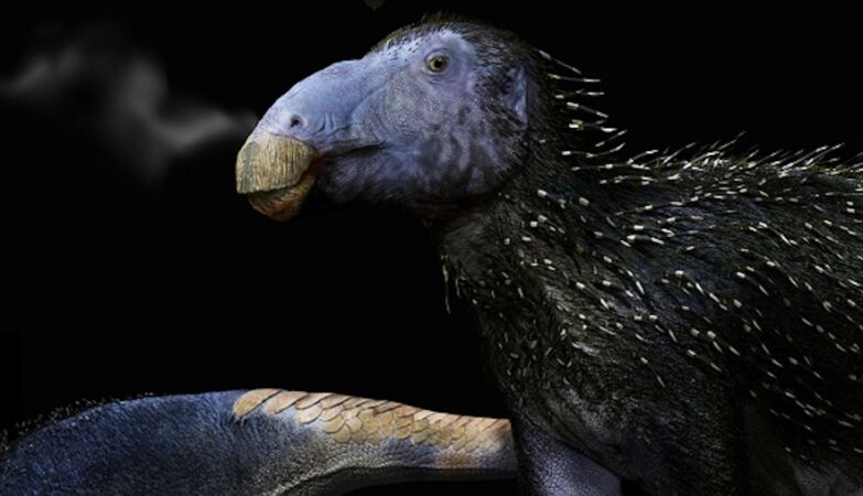 125 million year old “porcupine” dinosaur discovered