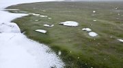 Toxic algae turned an icy lake emerald green