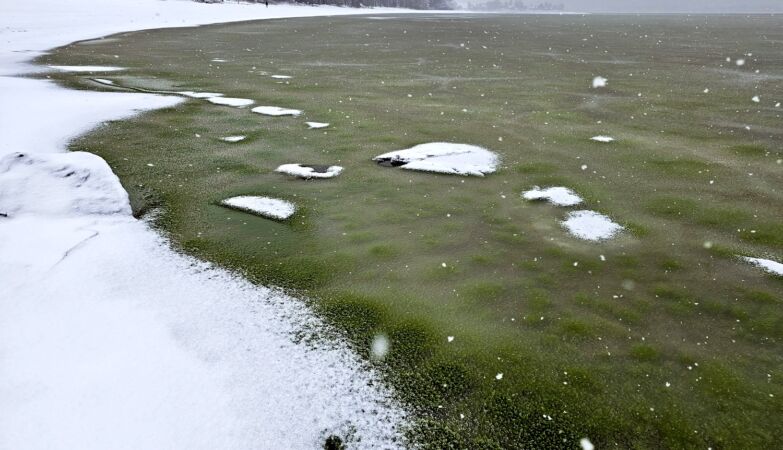 Toxic algae turned an icy lake emerald green