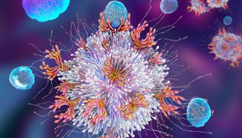 Scientists rejuvenate the immune system using the liver as a “substitute” for the thymus