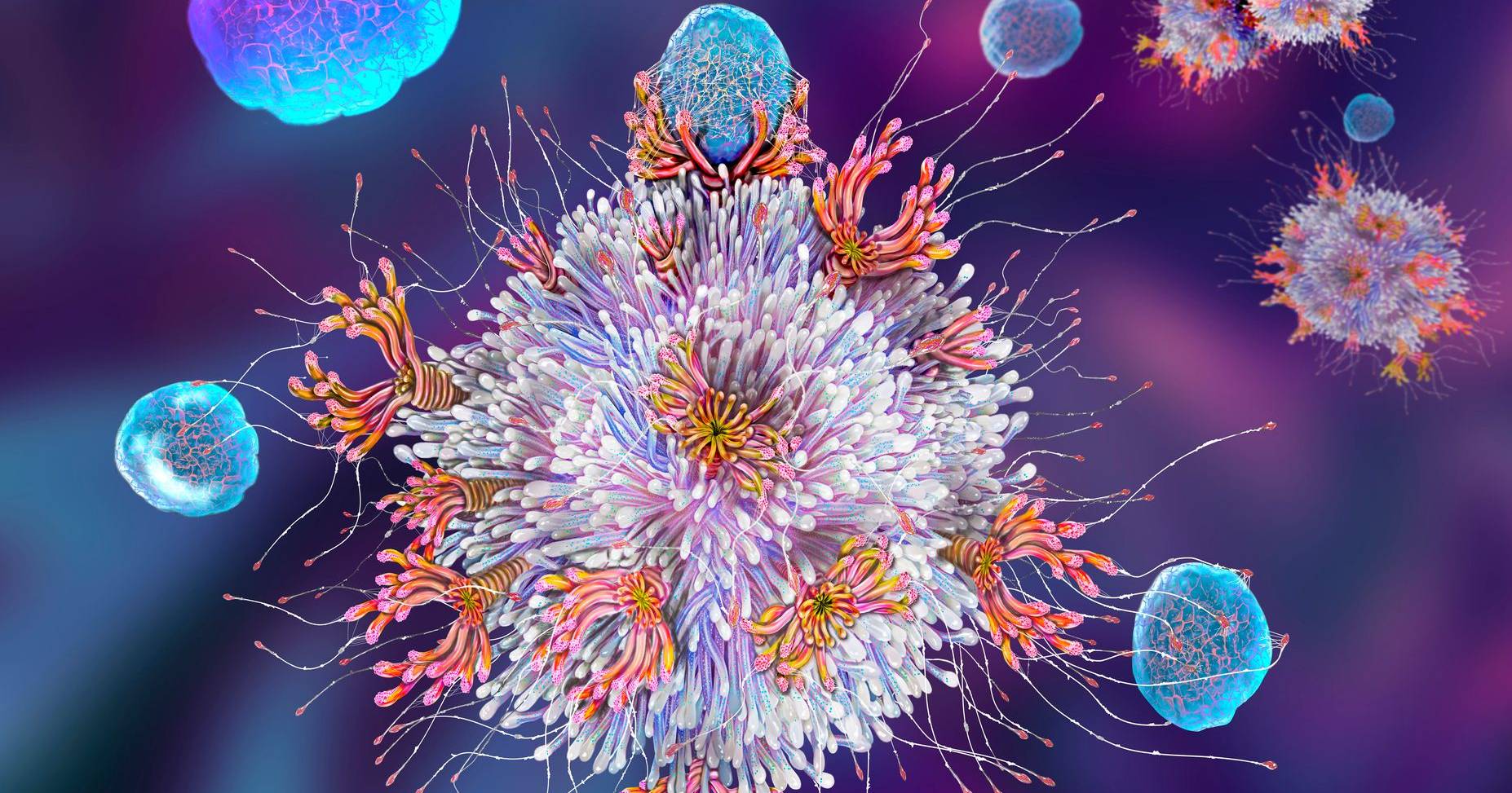 Scientists rejuvenate the immune system using the liver as a “substitute” for the thymus