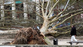 The rain doesn't let up: there are 13 districts under orange warning