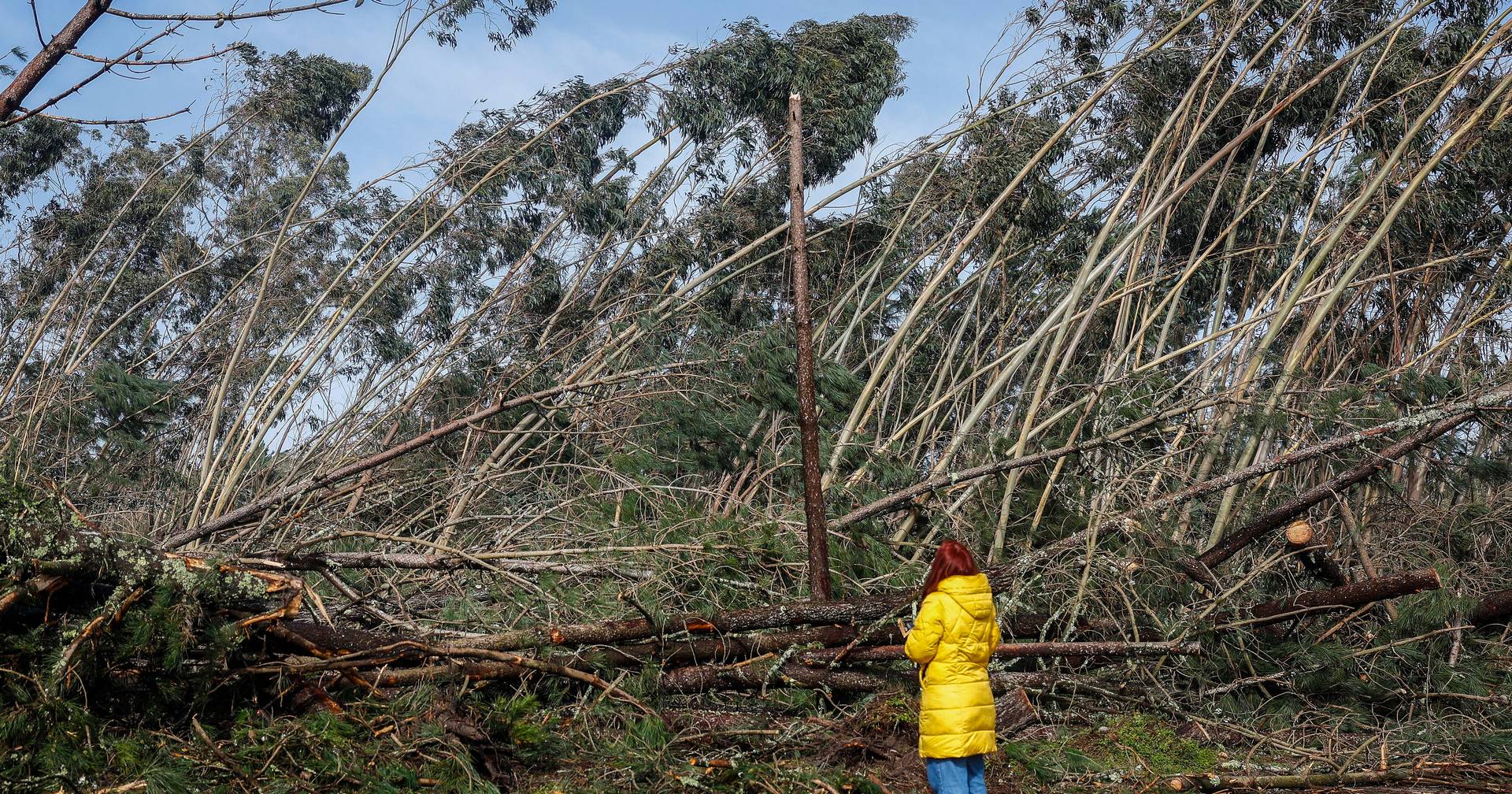 “A simple SMS is very little”: expert warns of failures in communicating climate risk