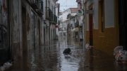 Streets of Alcácer do Sal transformed into rivers: authorities evacuate residents