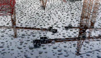 Crane operator seriously injured after being thrown by the wind in Porto de Mós