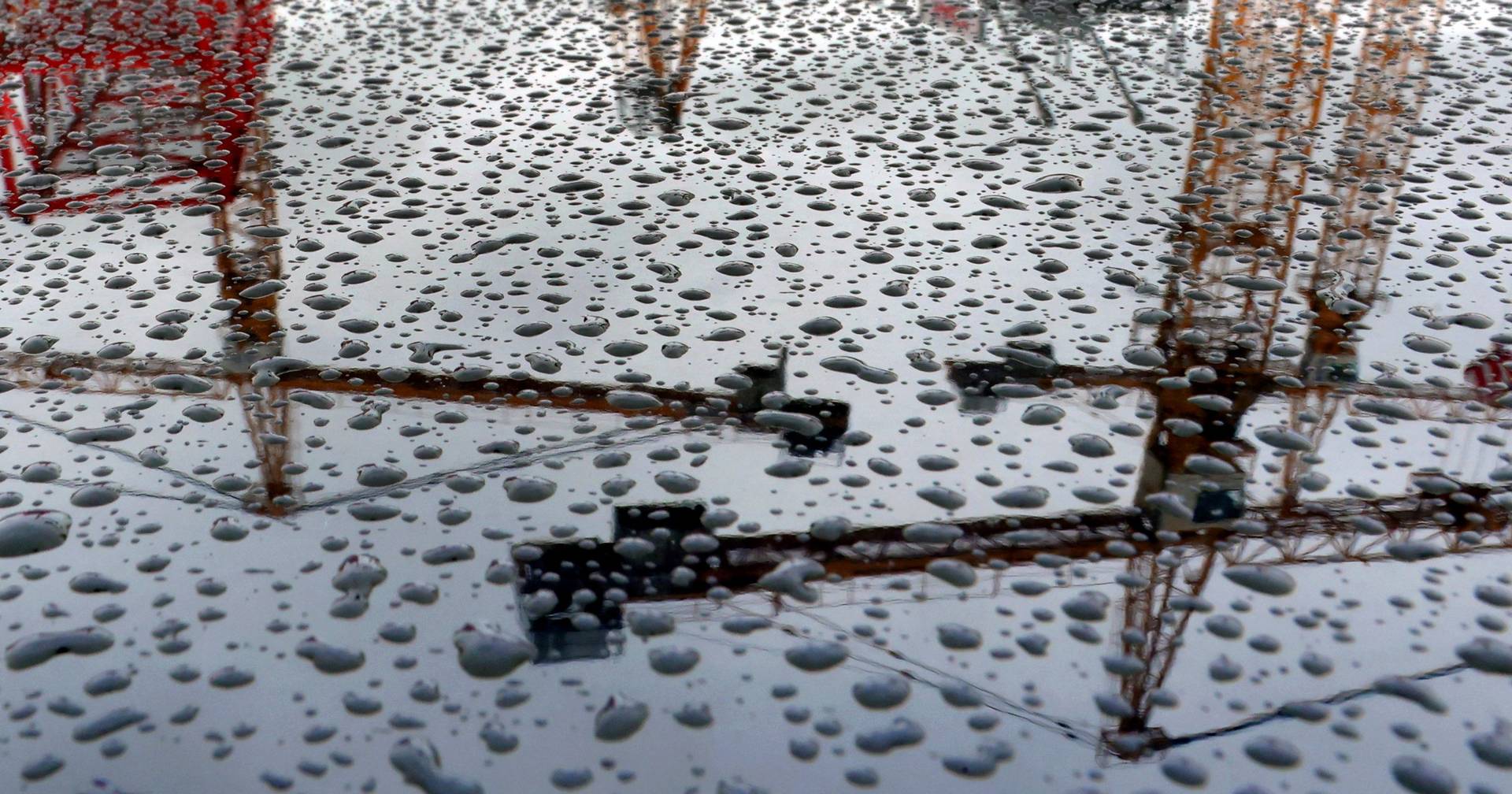 Crane operator seriously injured after being thrown by the wind in Porto de Mós