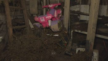 Guilherme lost the house where he lived with his wife and daughter, accounts for the losses are far from being closed in Portalegre