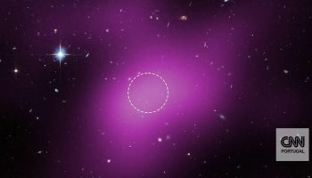 Astronomers suspect they have discovered an object that could unravel one of the greatest mysteries in the Universe