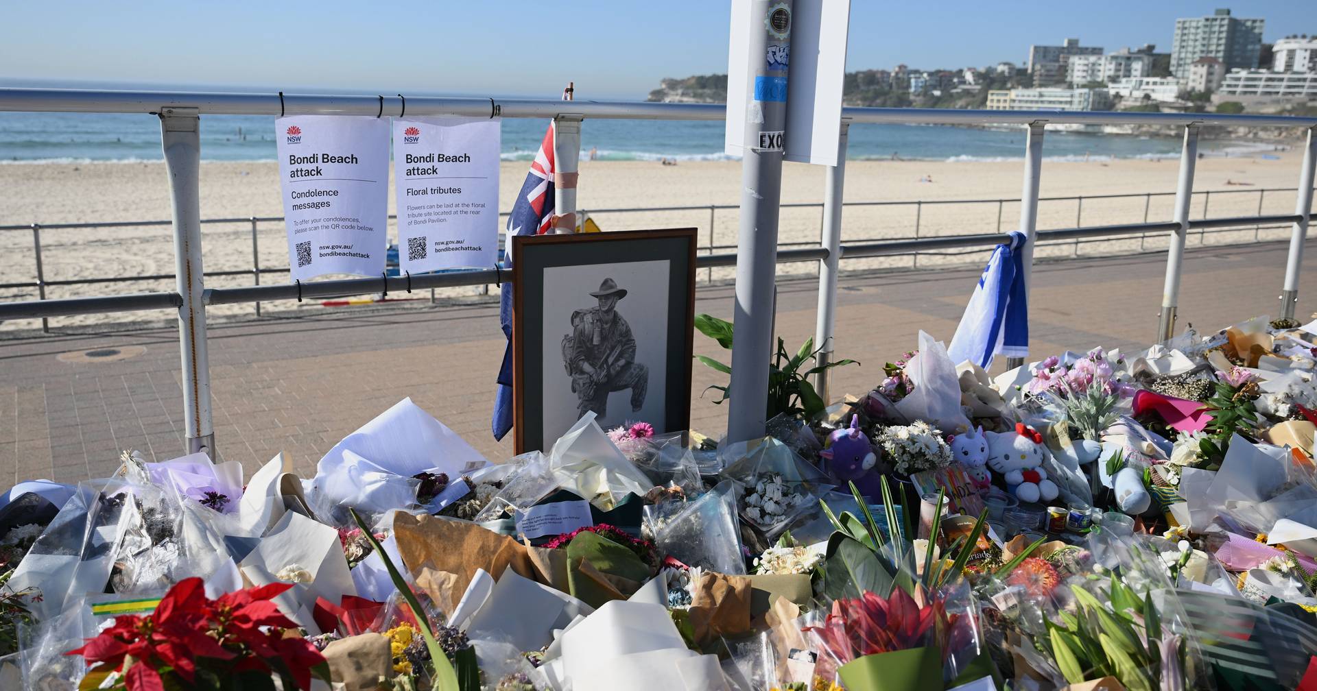 Author of massacre at Jewish festival in Australia begins to be heard in court