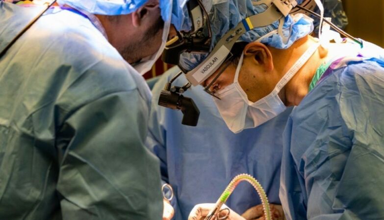 Surgeons kept man without lungs alive for 48 hours. Survived