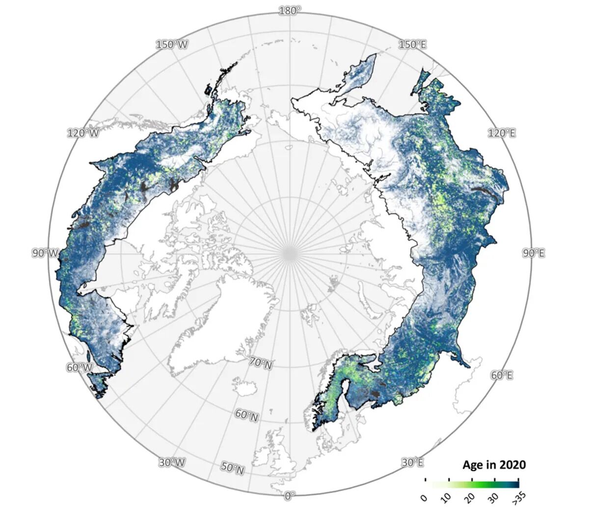 The largest terrestrial biome on the planet is on the move – it's heading north at an accelerated pace