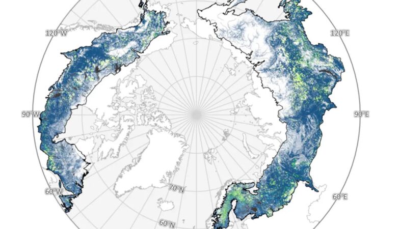 The largest terrestrial biome on the planet is on the move – it's heading north at an accelerated pace