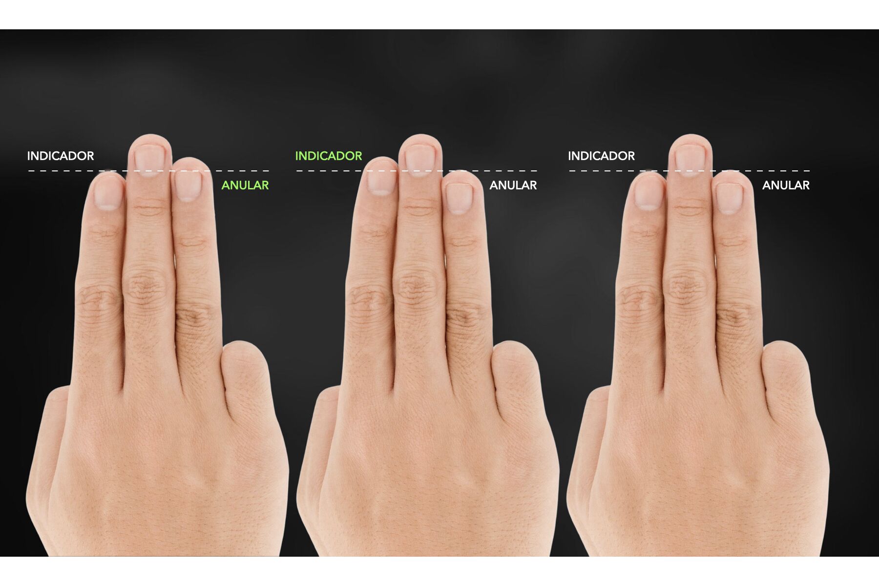 Our fingers hold the secret to the size of our brain