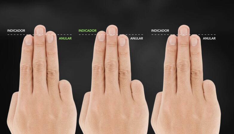 Our fingers hold the secret to the size of our brain