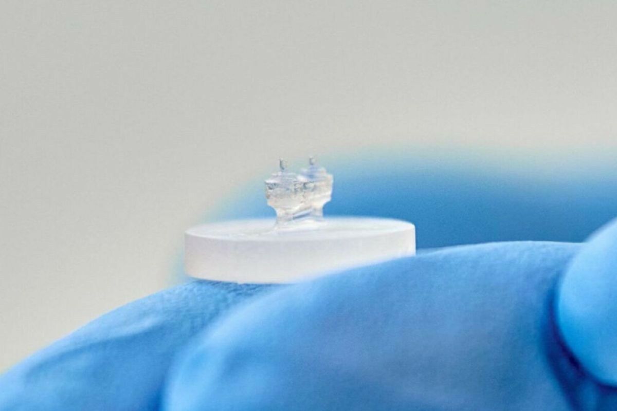 “Heart-on-a-chip” can help combat the world’s leading cause of death