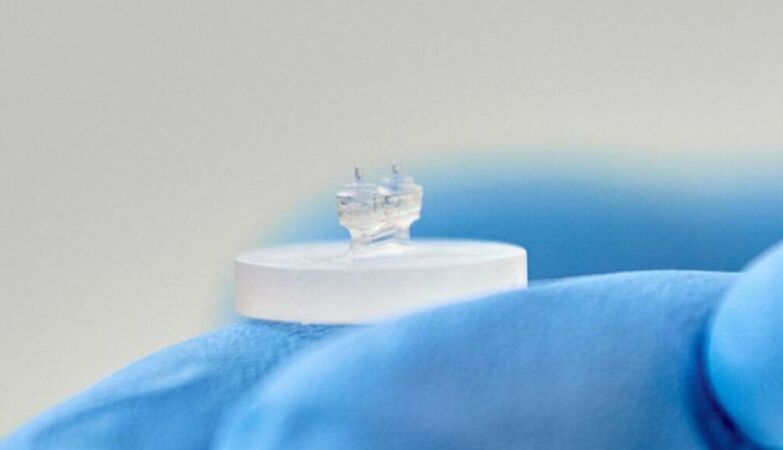 “Heart-on-a-chip” can help combat the world’s leading cause of death