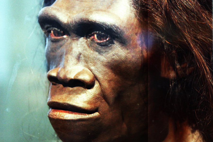 “Absolute surprise”: Homo erectus skulls found in China are almost 1.8 million years old