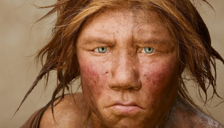 Condition that affects up to 10% of modern pregnancies may have wiped out Neanderthals