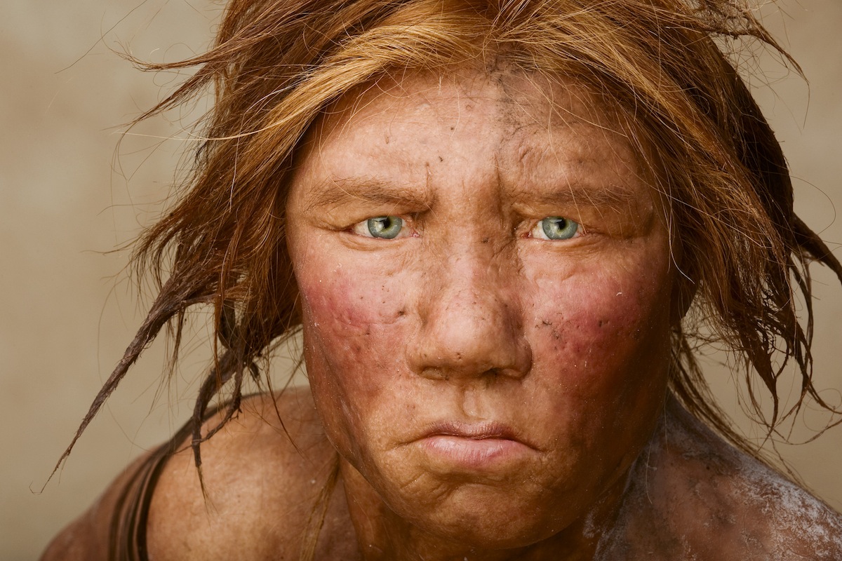 Condition that affects up to 10% of modern pregnancies may have wiped out Neanderthals