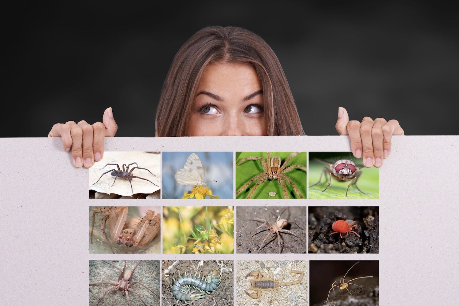 Psychologists have made people look at spiders. Here's what happened