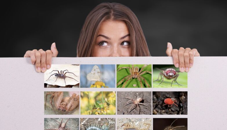 Psychologists have made people look at spiders. Here's what happened