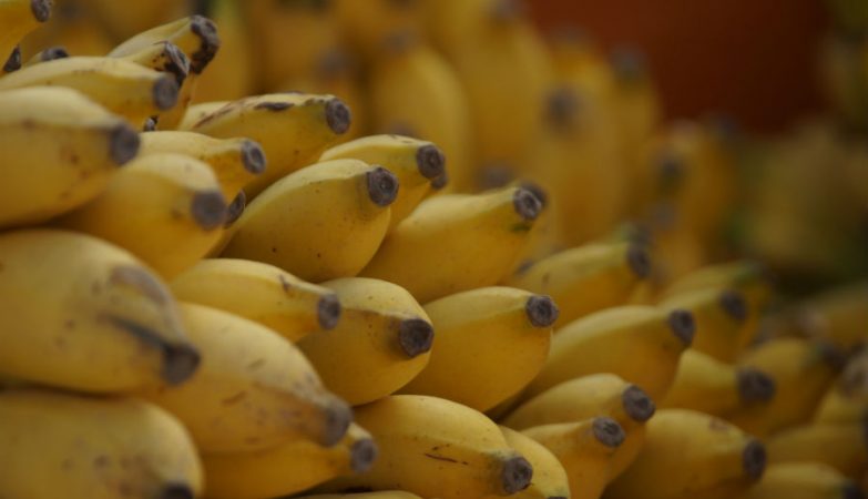 Scientists have found the gene that could save bananas