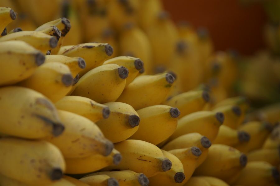 Scientists have found the gene that could save bananas