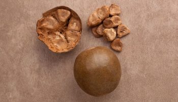 A powerful aspect of monk fruit is being revealed