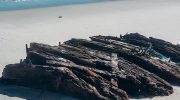 Storm brings 19th century shipwreck to the surface (and touching is prohibited)