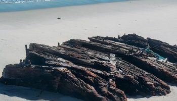 Storm brings 19th century shipwreck to the surface (and touching is prohibited)