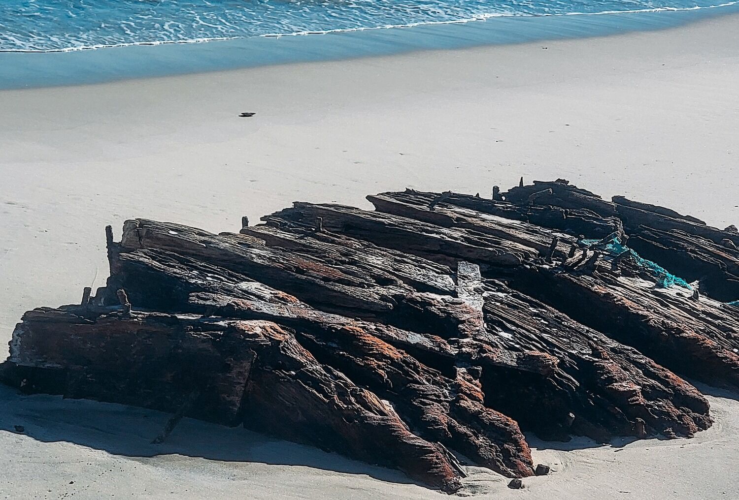 Storm brings 19th century shipwreck to the surface (and touching is prohibited)
