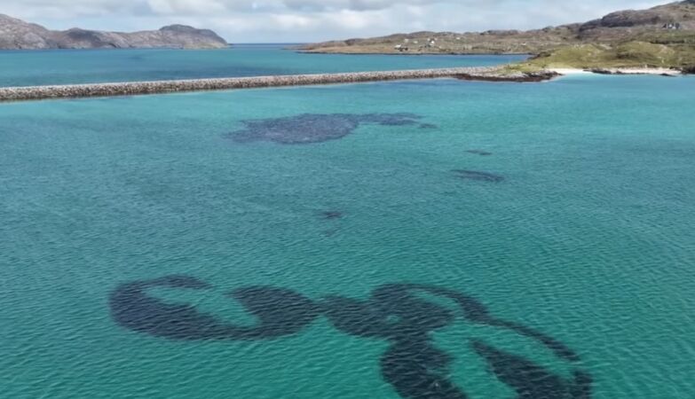 Hundreds of giant “donuts” appeared under the sea. Scientists don't know how to explain