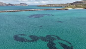 Hundreds of giant “donuts” appeared under the sea. Scientists don't know how to explain