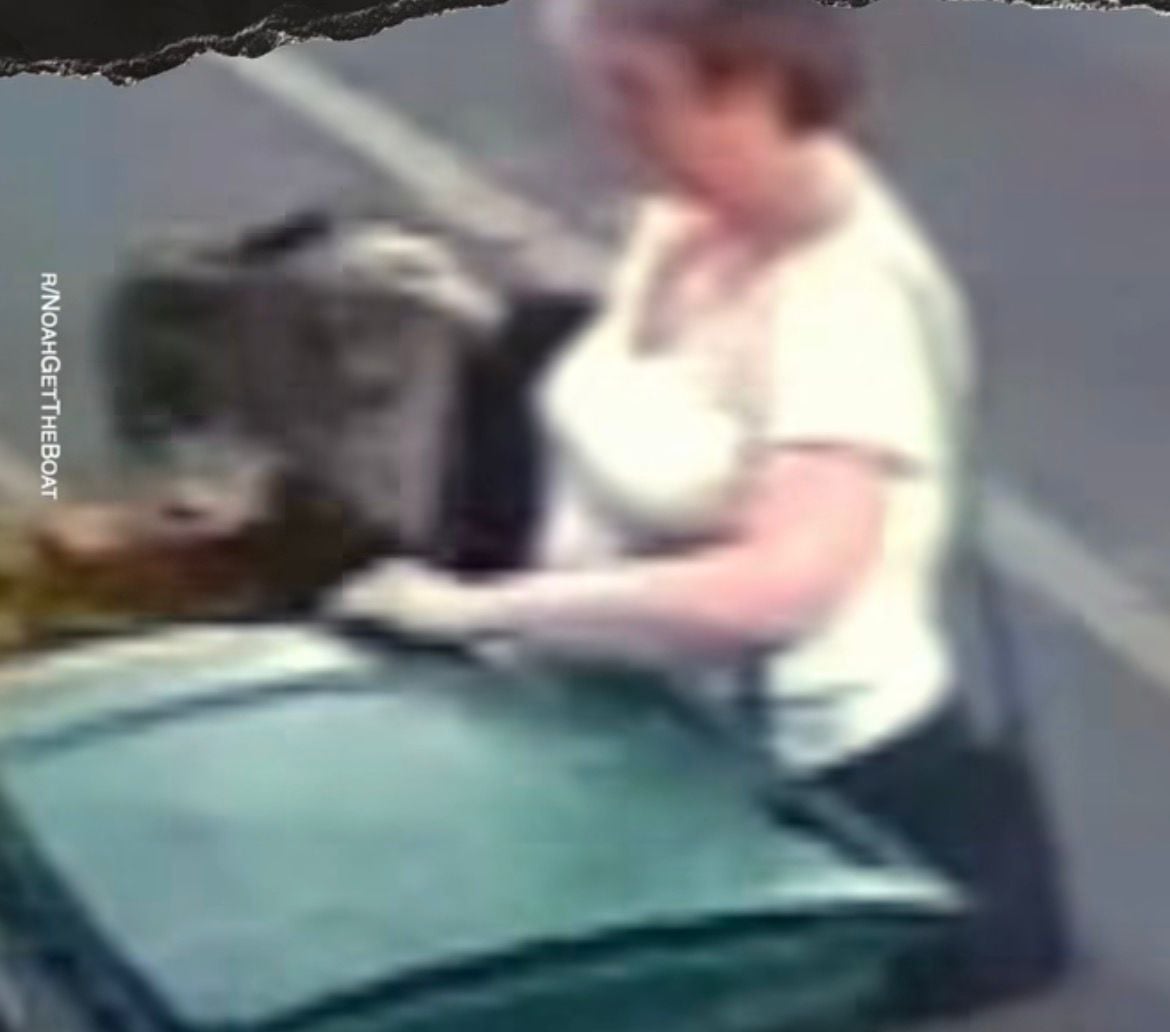 Woman is fined after throwing cat in trash bin for fun. The animal was rescued, is doing well and the case generated outrage on social media.