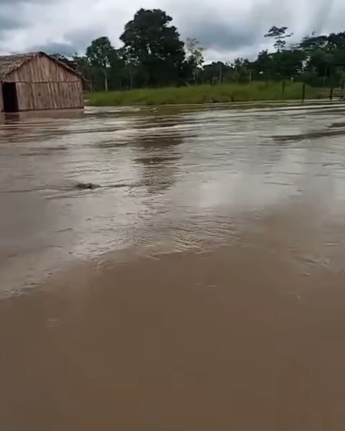 Flooding on the Murú River hits the Ibuaçu community and affects more than 100 families, who face flooding and losses with rising waters.