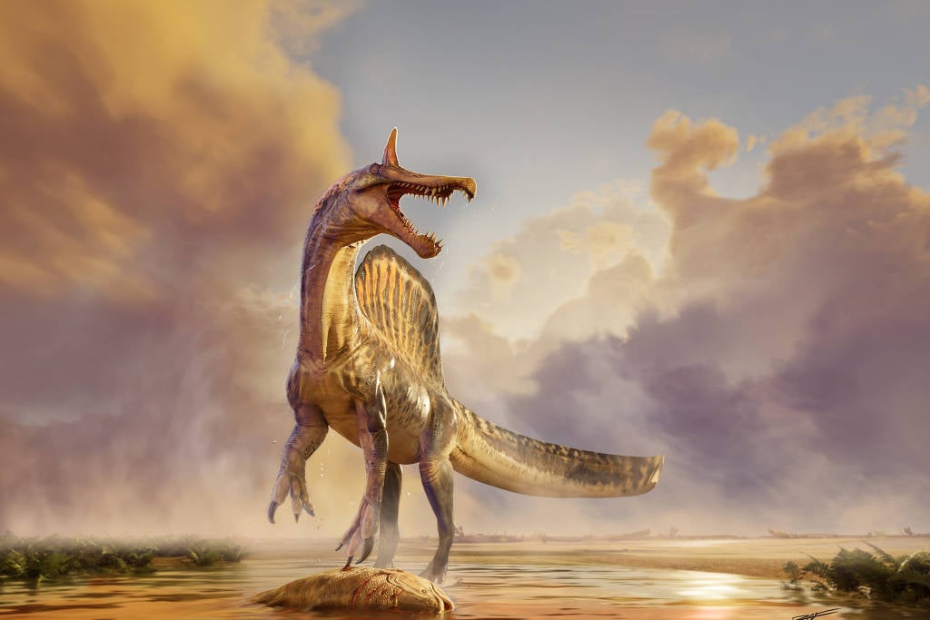 New species of spinosaurus lived in the Tethys Sea 95 million years ago, expanding knowledge about aquatic dinosaurs.