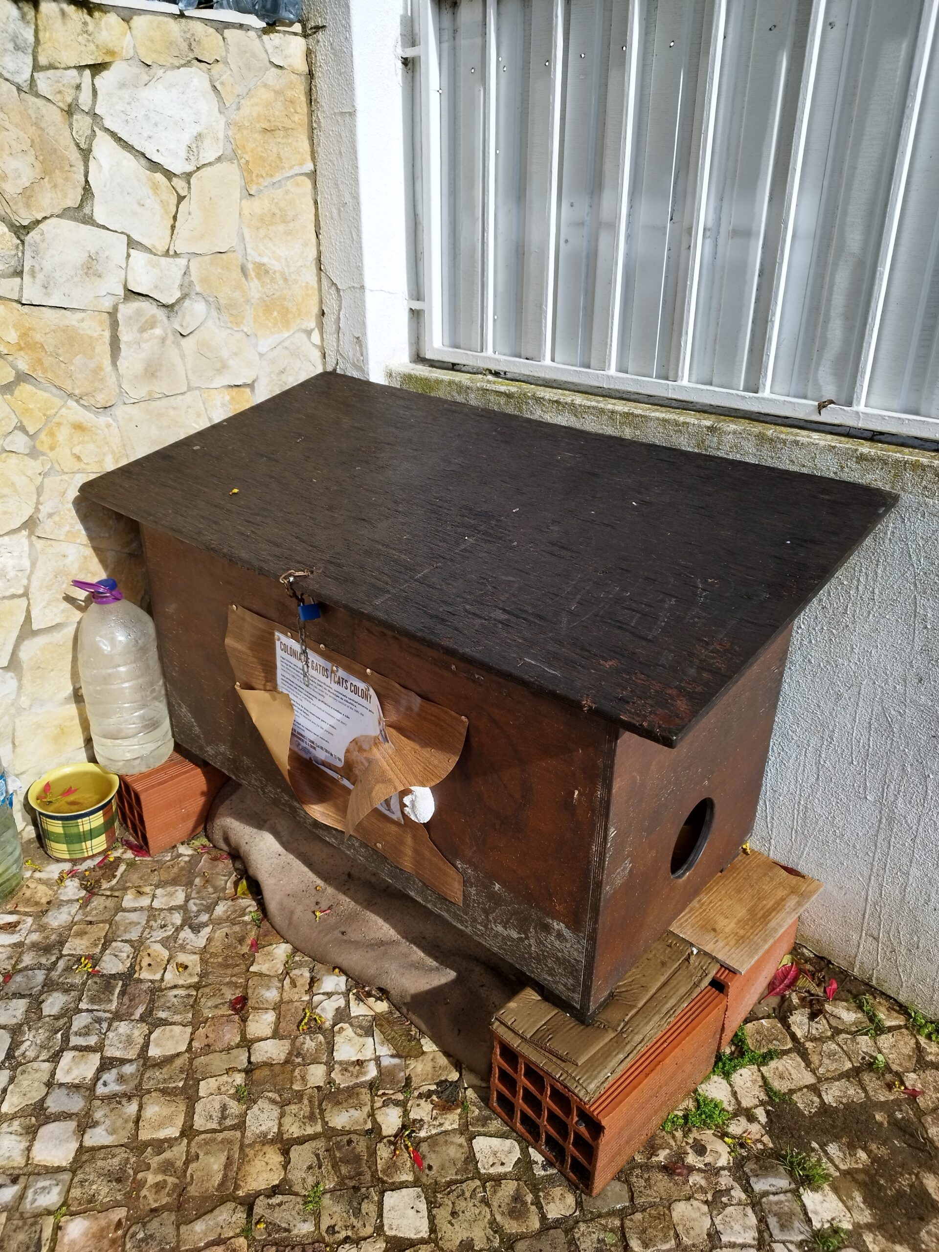 Albufeira resident searches for missing cats