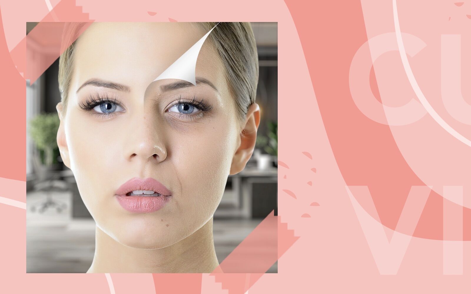 “Shear your CV”. Candidates learned to look 10 years younger (without lying)