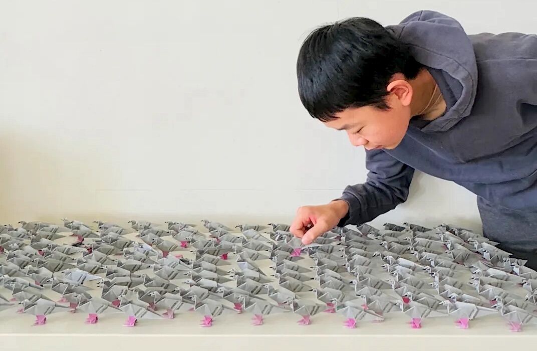 Teenager is using origami to create sturdy, cheap and easy-to-build emergency shelters