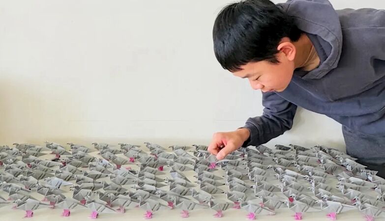 Teenager is using origami to create sturdy, cheap and easy-to-build emergency shelters