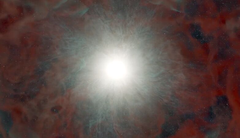 Star caught red-handed disappearing and turning into a black hole