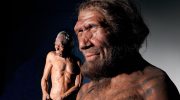 Homo sapiens had sex with Neanderthals almost all over the world (not in Portugal)