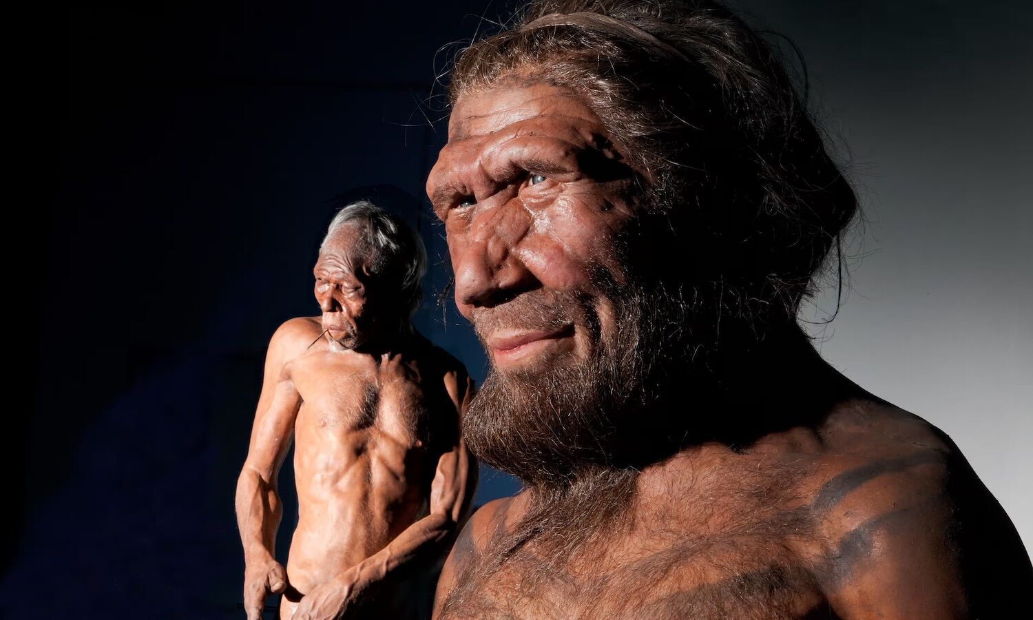 Homo sapiens had sex with Neanderthals almost all over the world (not in Portugal)
