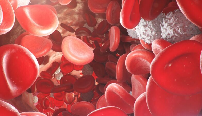 Diabetes is rare at high altitudes. Mystery solved