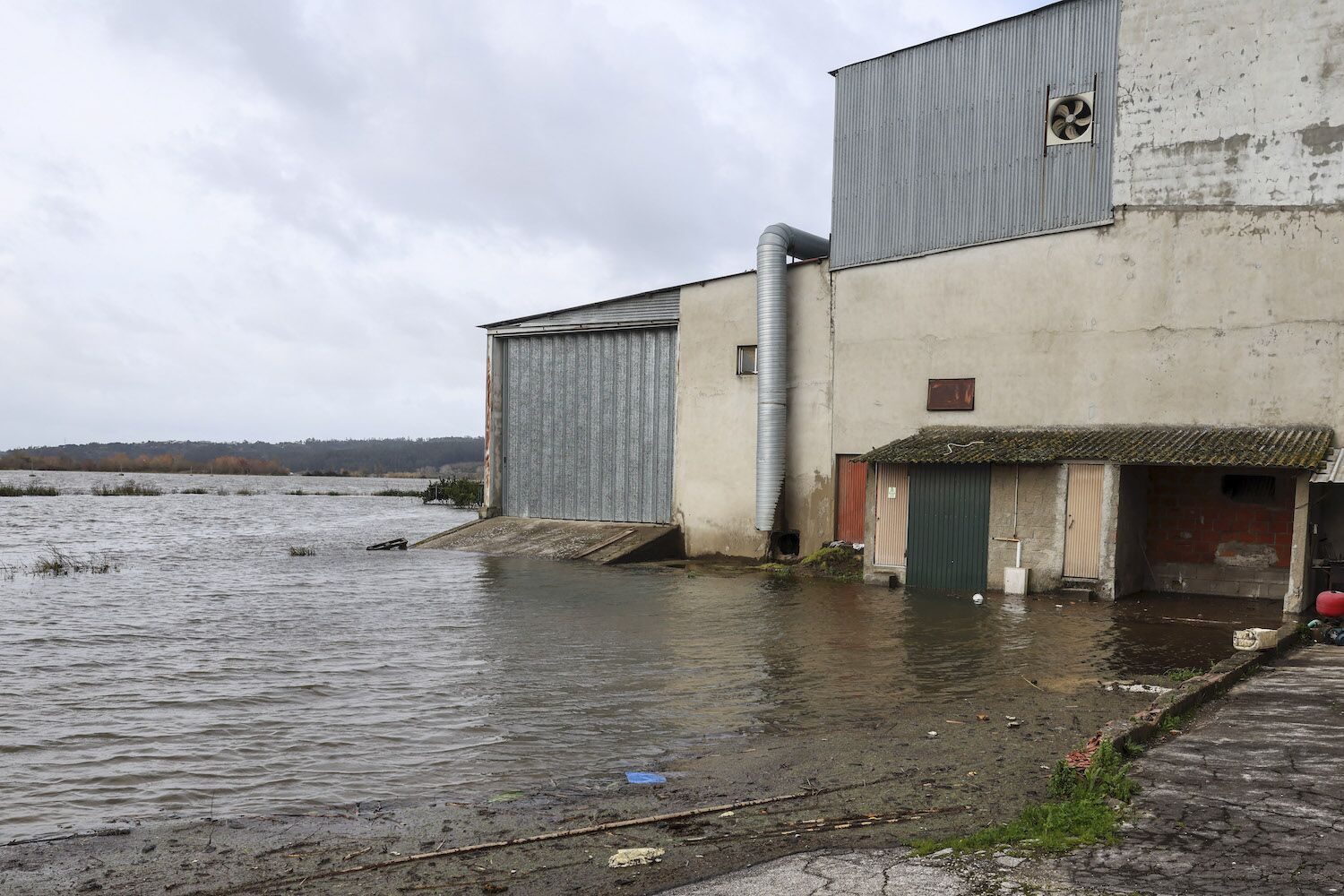 The rescue of 500 tons of rice in Montemor-o-Velho