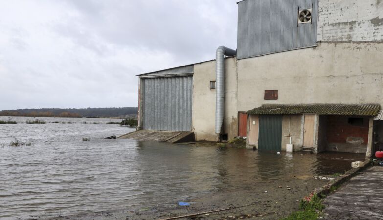 The rescue of 500 tons of rice in Montemor-o-Velho