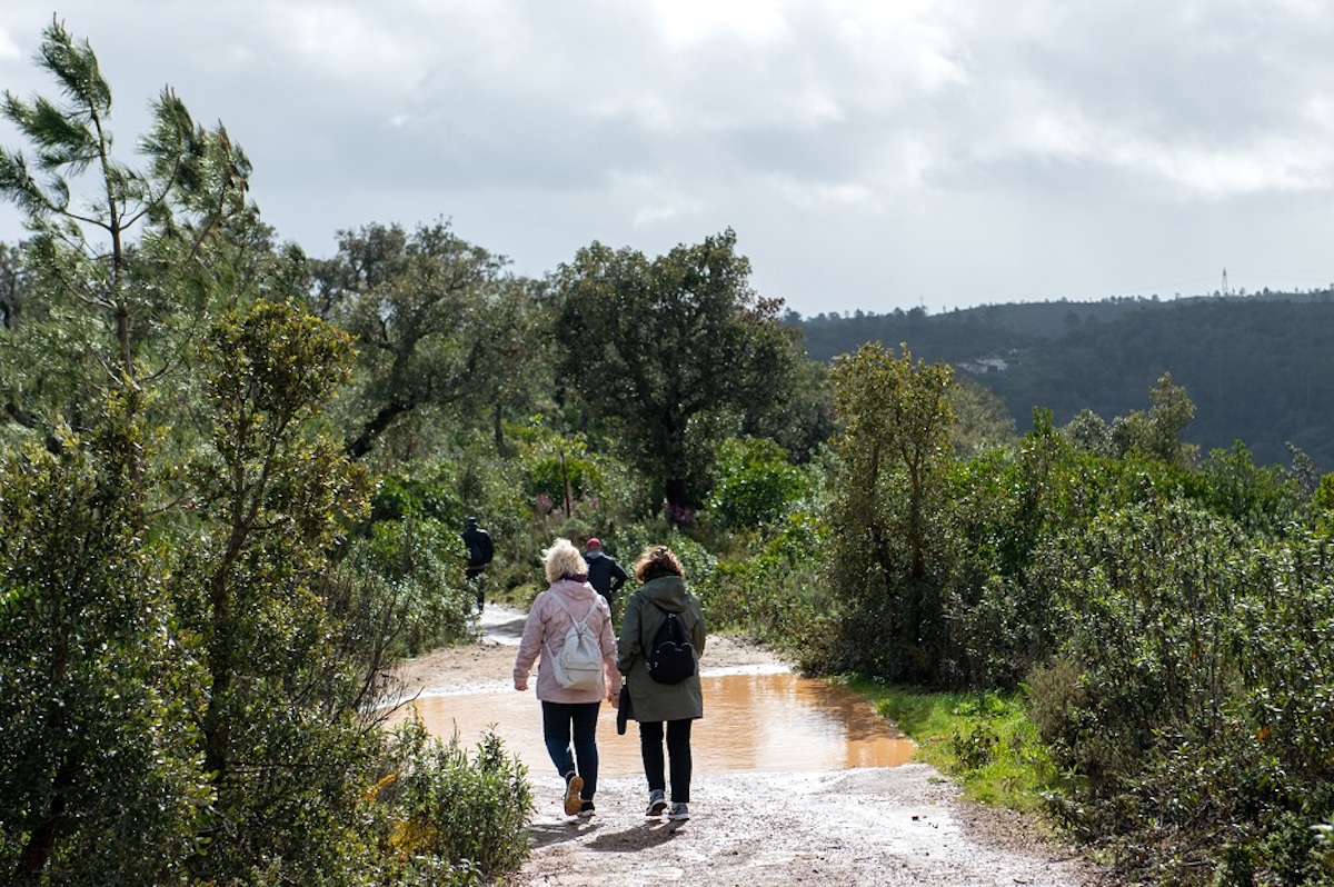 Walking tour in Cortelha includes a visit to medronho distilleries in Serra do Caldeirão