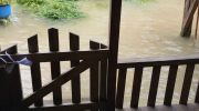Flood hits rural area of ​​Sena Madureira, isolates residents and hinders access to communities