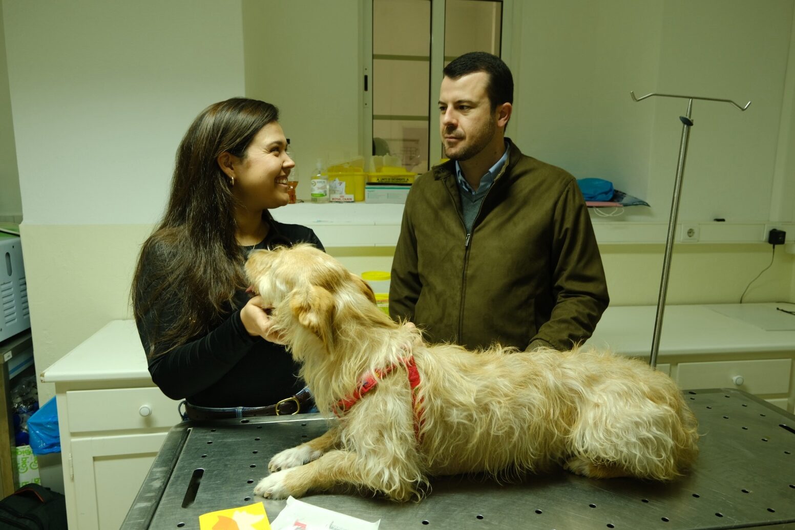 São Brás de Alportel reinforces animal health and well-being