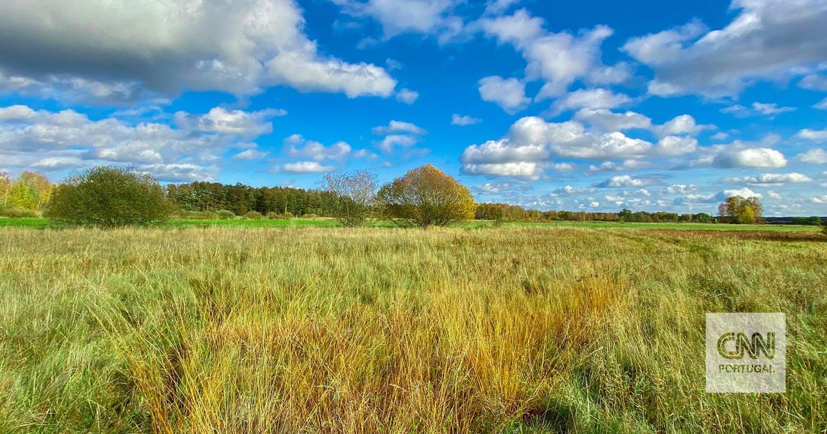 A day in the "Death Strip": how a symbol of communist paranoia turned into a wild paradise